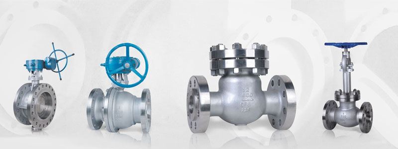 Valves Manufacturer in India