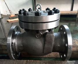 Check Valves Manufacturer